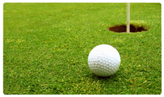 DNSEMP-C-342 Gone Golfing (Balls)